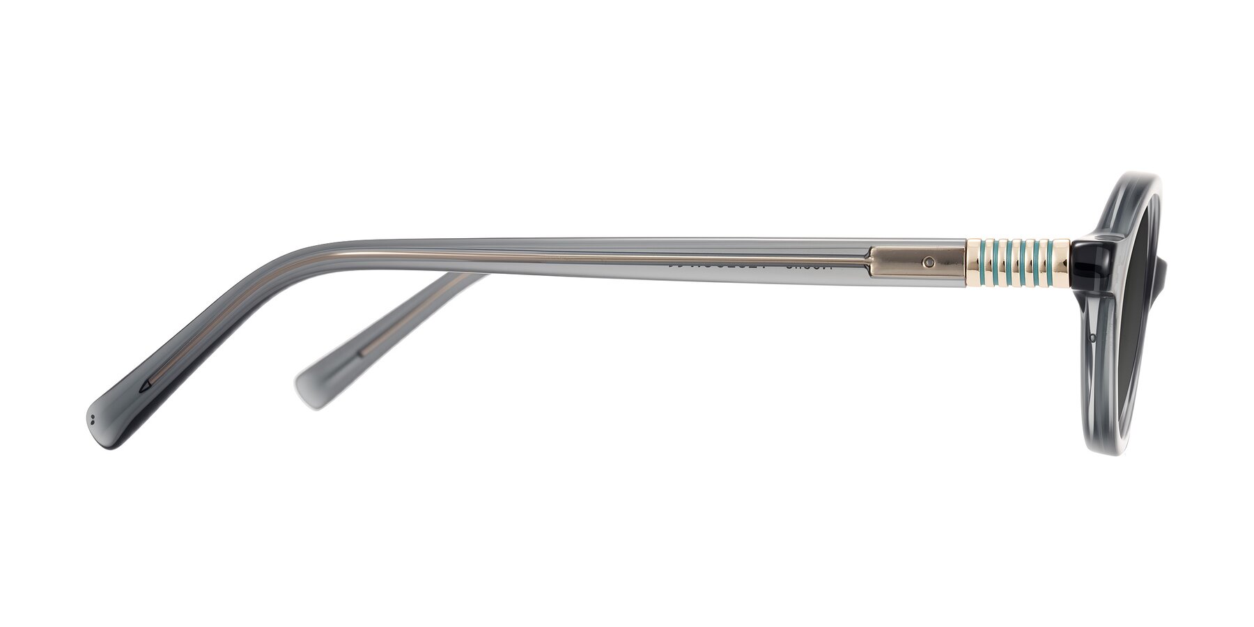 Side of Noelle in Transparent Gray with Gray Tinted Lenses