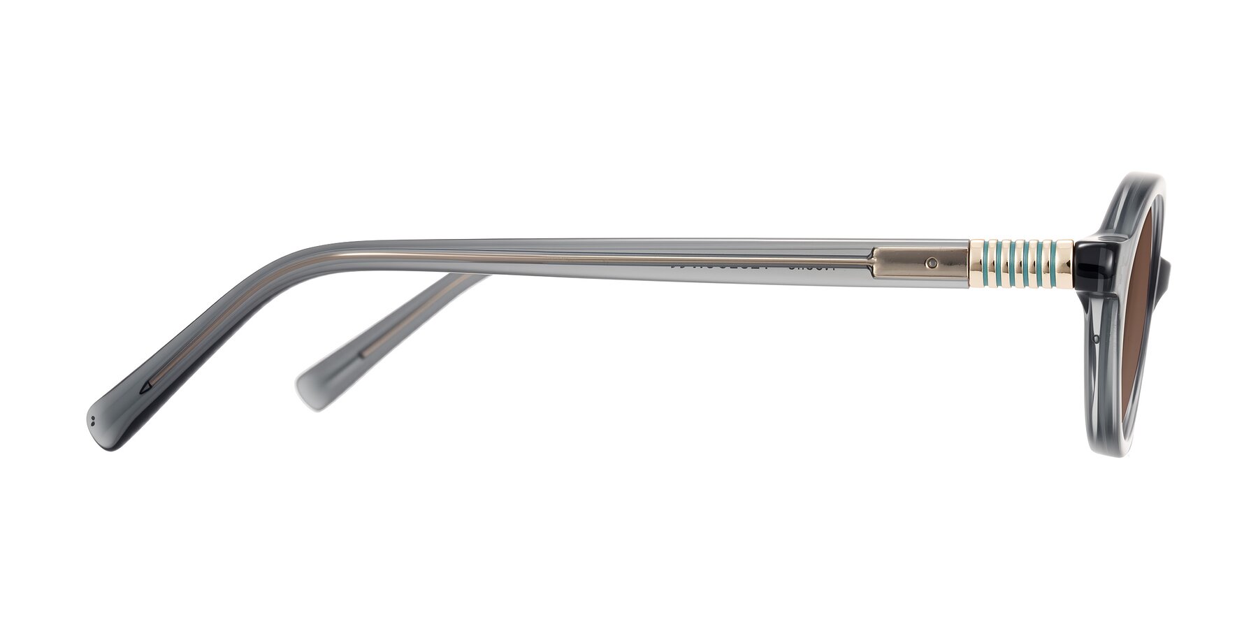 Side of Noelle in Transparent Gray with Brown Tinted Lenses