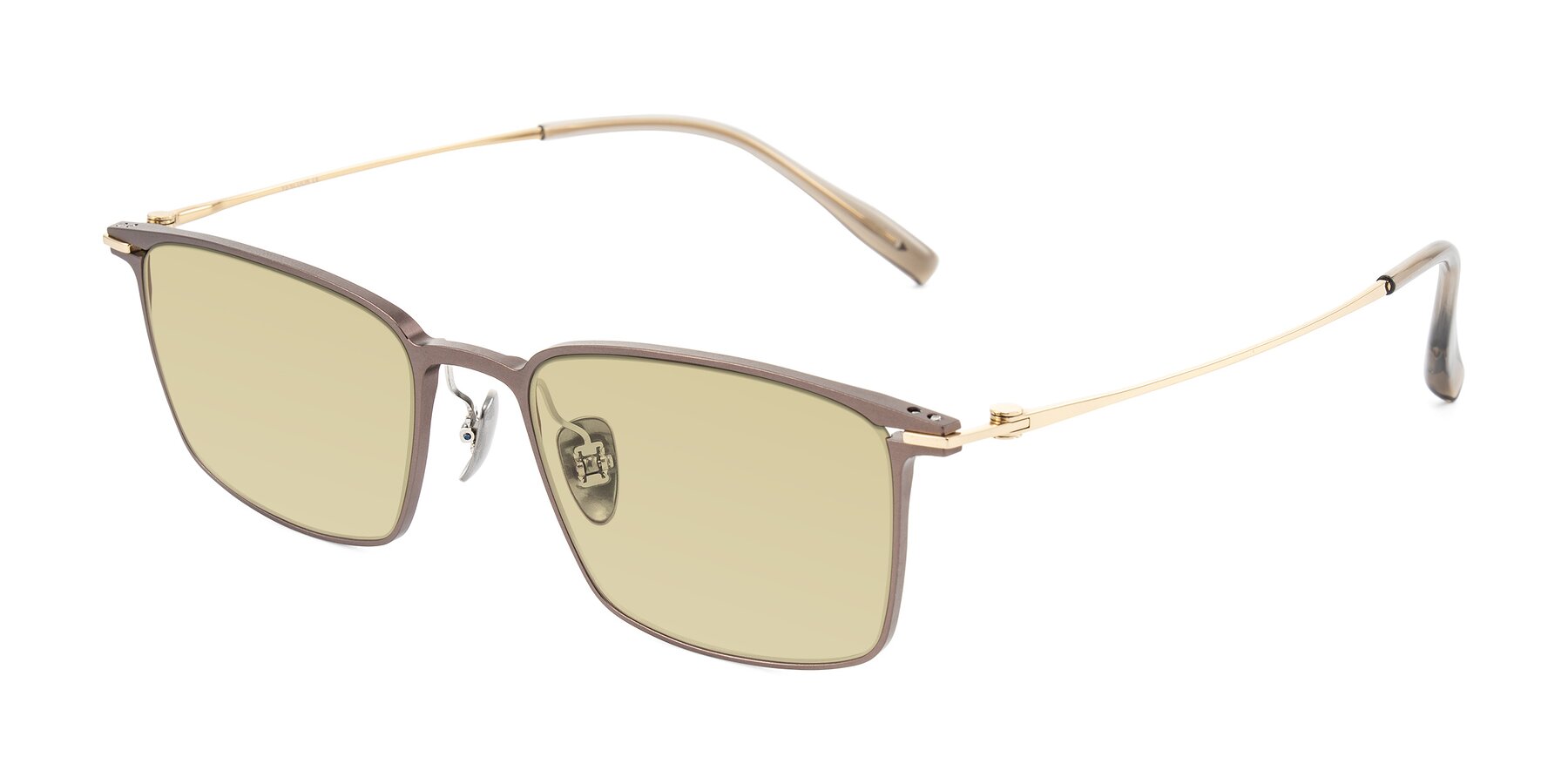 Angle of Ayla in Brown/Gold with Light Champagne Tinted Lenses