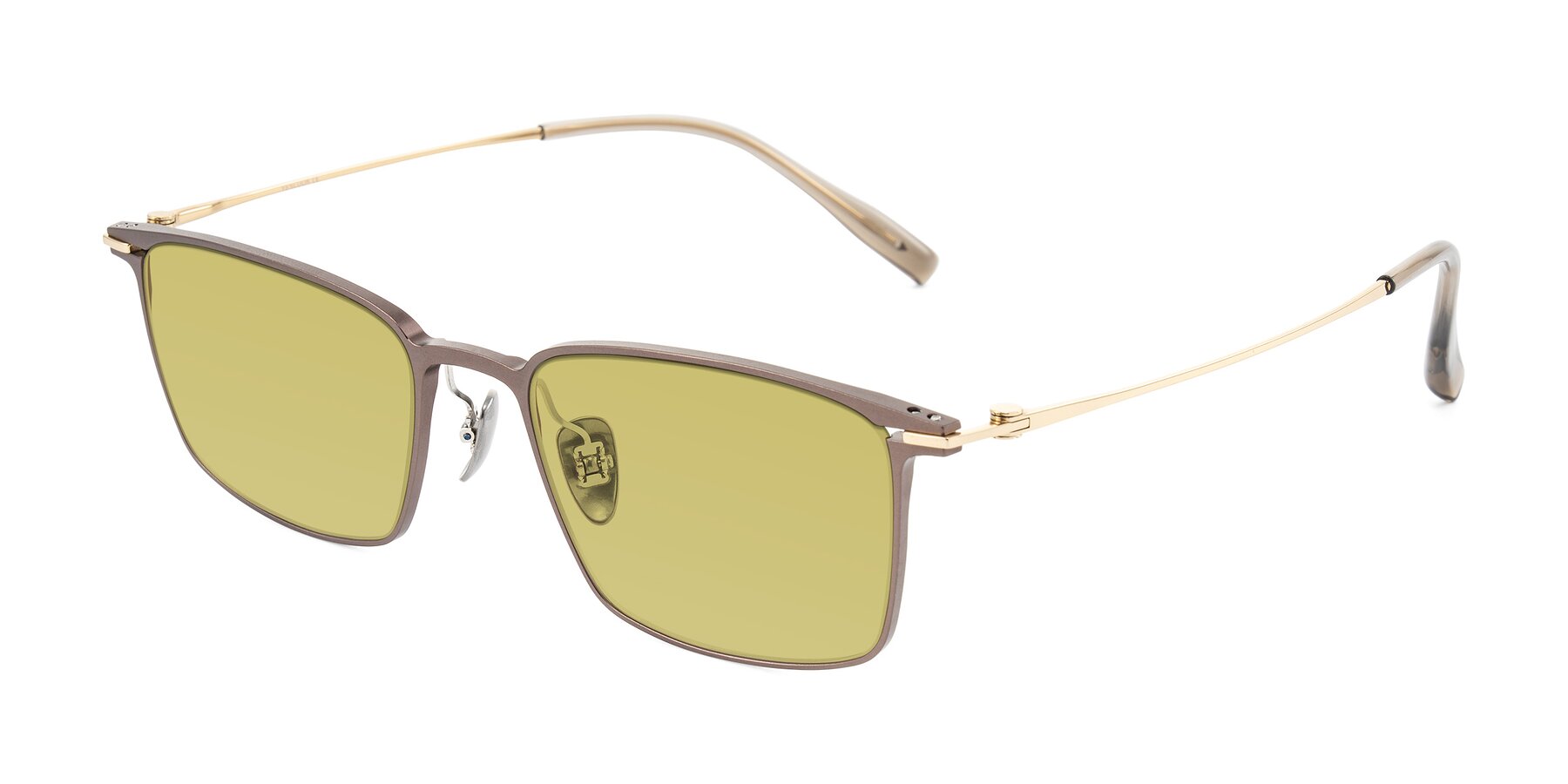 Angle of Ayla in Brown/Gold with Medium Champagne Tinted Lenses