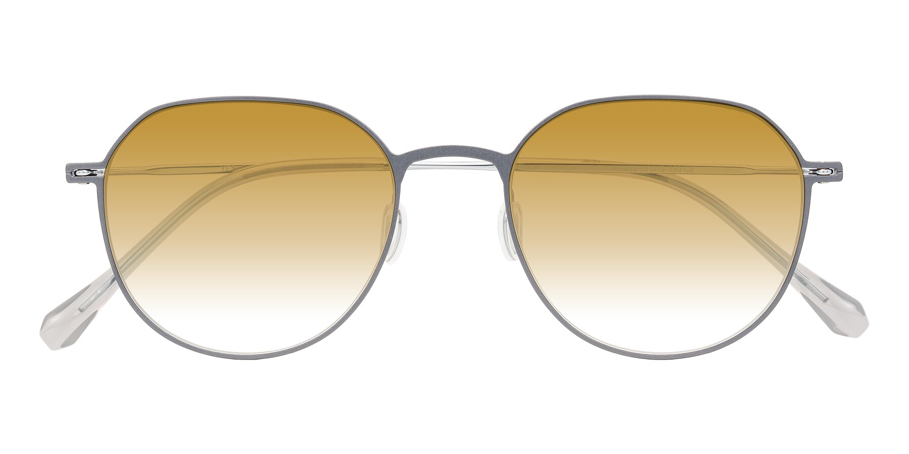 Folded Front of Pineda in Gray/Silver with Champagne Gradient Lenses