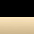 Black/Gold