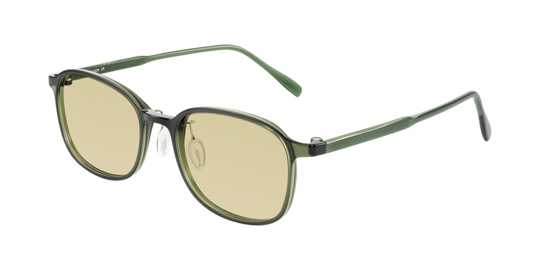 Angle of Sogge in Dark Green with Light Champagne Tinted Lenses