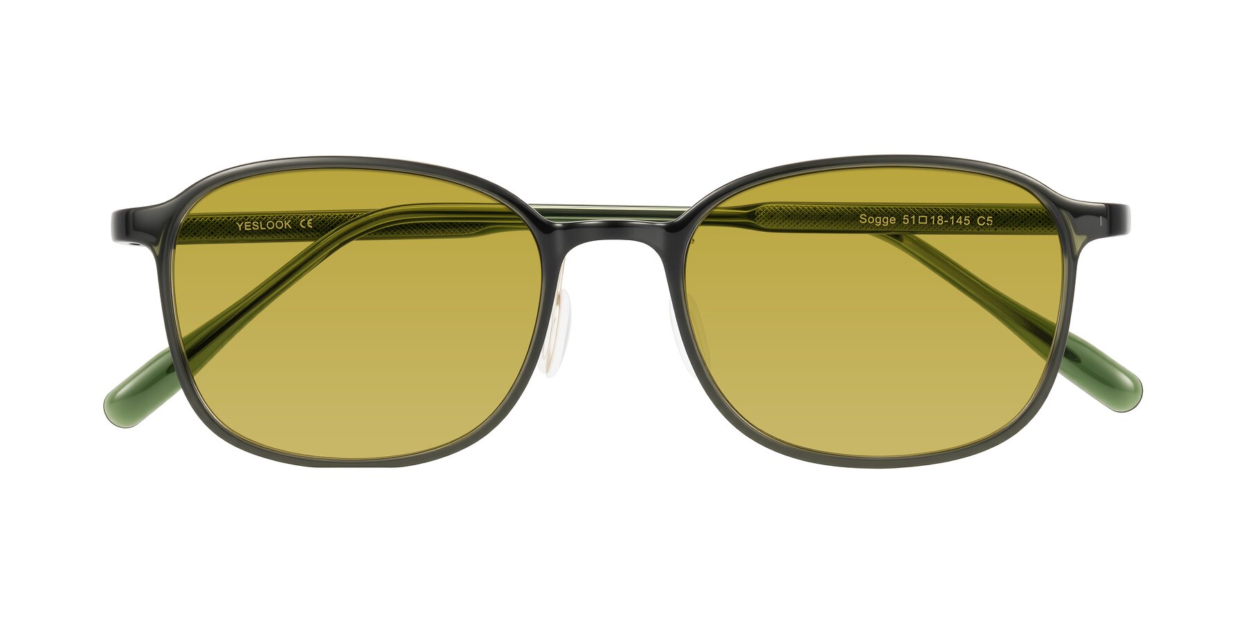 Folded Front of Sogge in Dark Green with Champagne Tinted Lenses