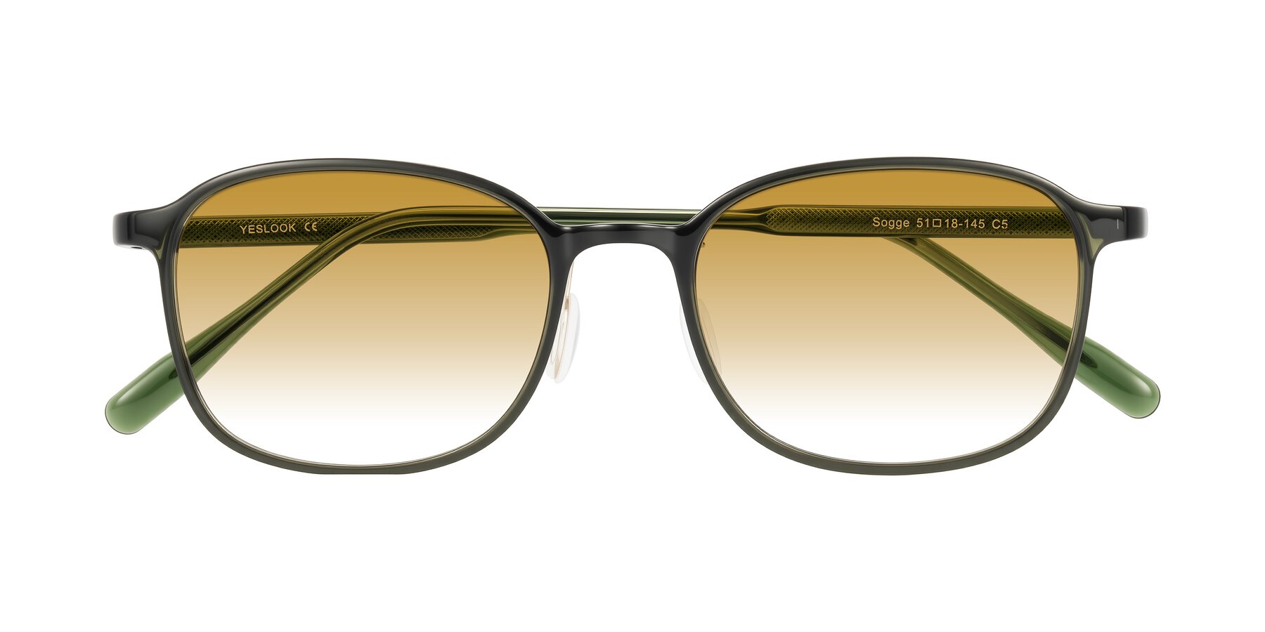 Folded Front of Sogge in Dark Green with Champagne Gradient Lenses