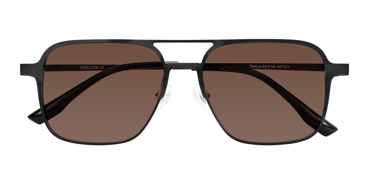 Sanya - Matte Black Tinted Sunglasses