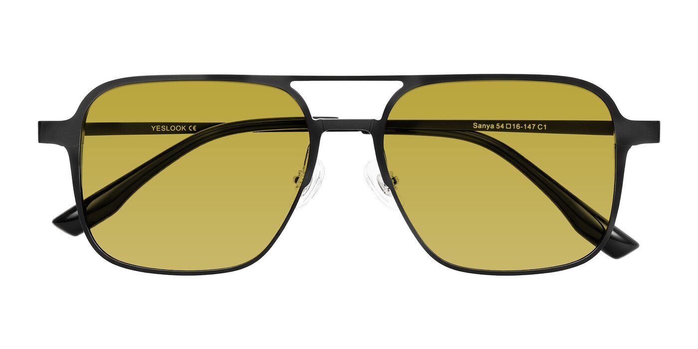 Sanya - Matte Black Tinted Sunglasses