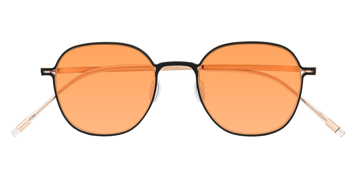 Lytle - Matte Black/Rose Glod Tinted Sunglasses