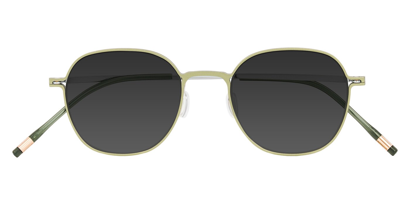 Lytle - Matte Olive/Silver Tinted Sunglasses