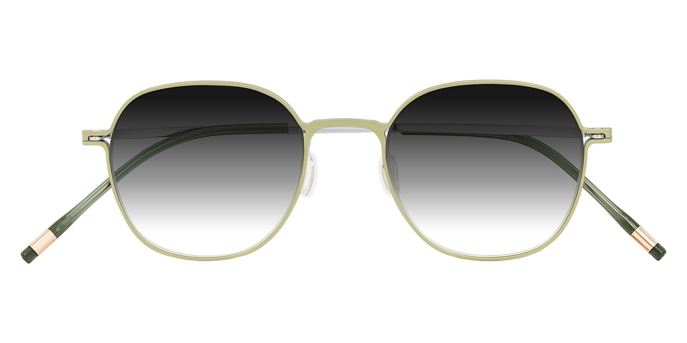 Lytle - Matte Olive/Silver Gradient Sunglasses