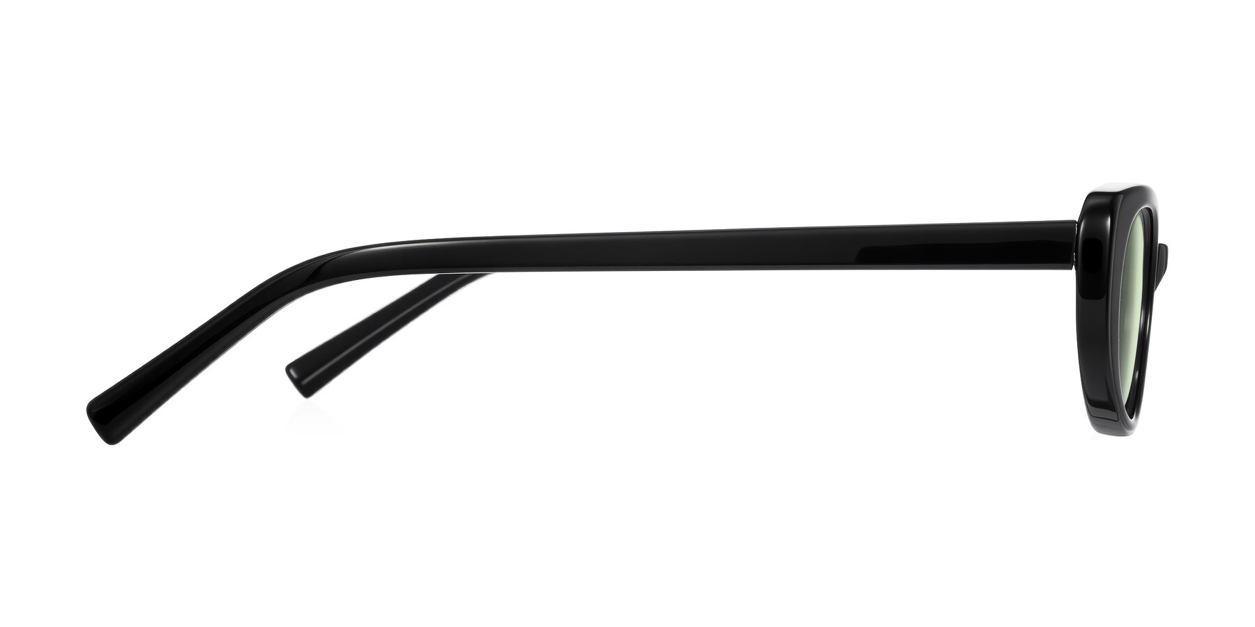 Side of Buffalo in Black with Light Green Tinted Lenses