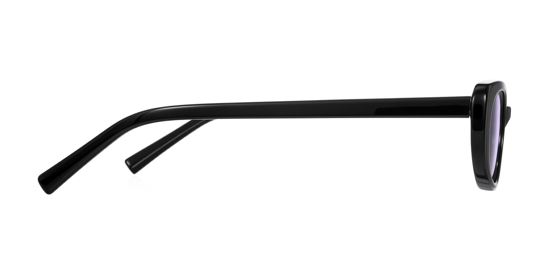 Side of Buffalo in Black with Light Purple Tinted Lenses
