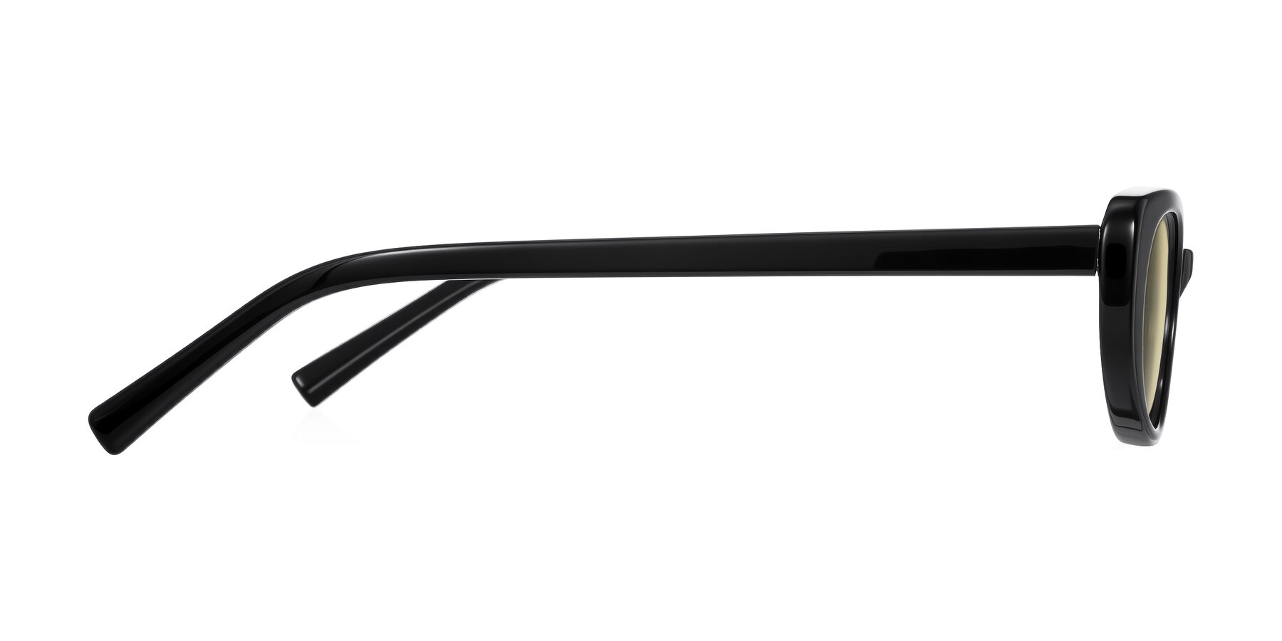 Side of Buffalo in Black with Light Champagne Tinted Lenses