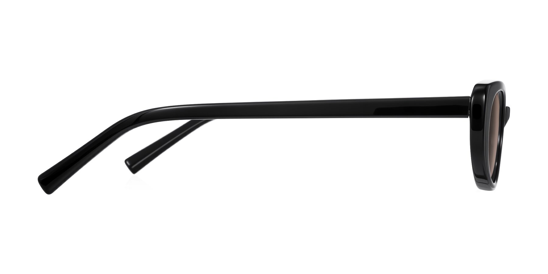 Side of Buffalo in Black with Medium Brown Tinted Lenses