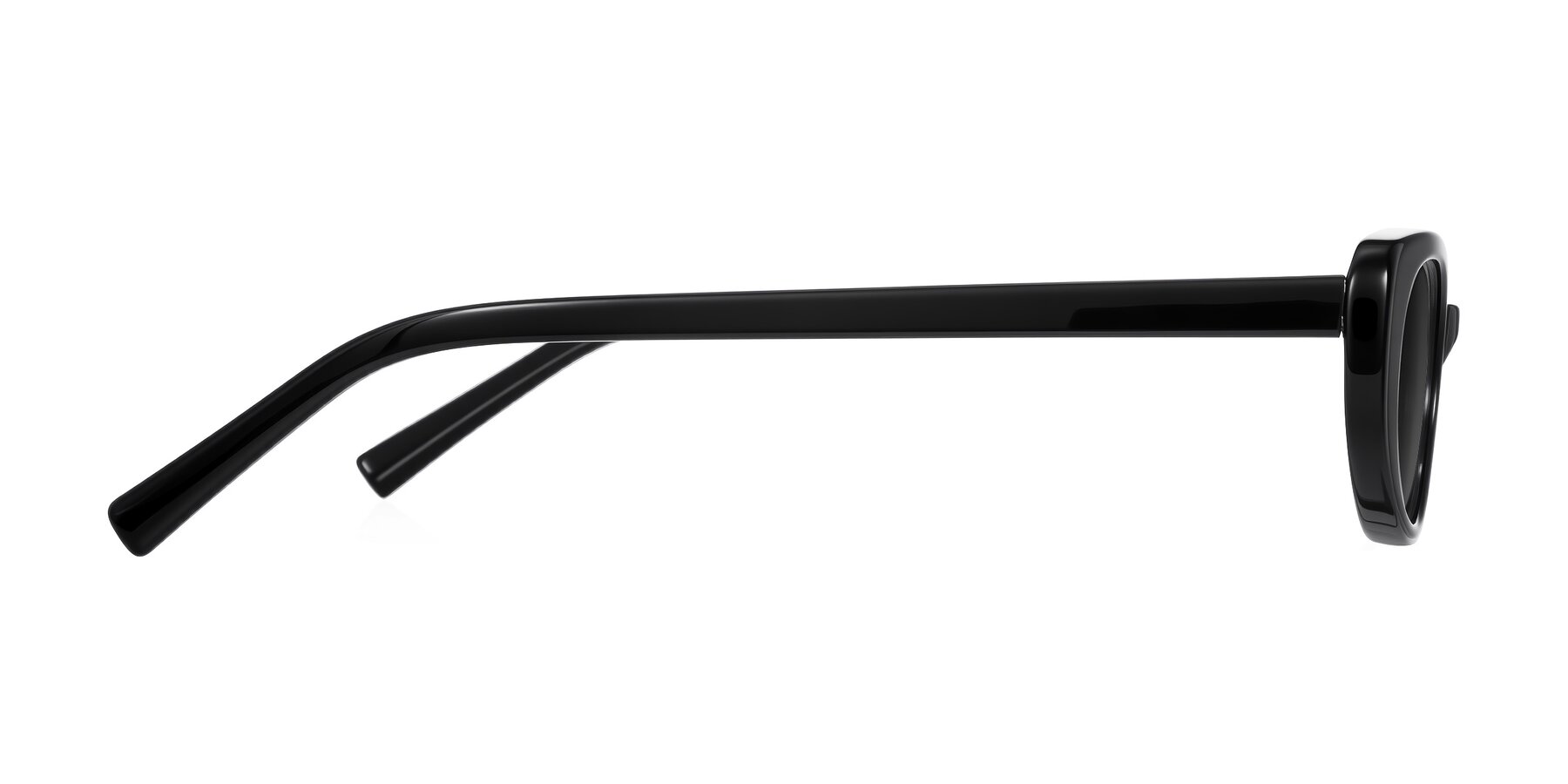 Side of Buffalo in Black with Gray Tinted Lenses