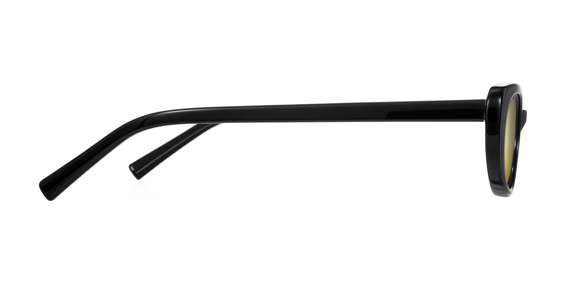 Side of Buffalo in Black with Gold Mirrored Lenses