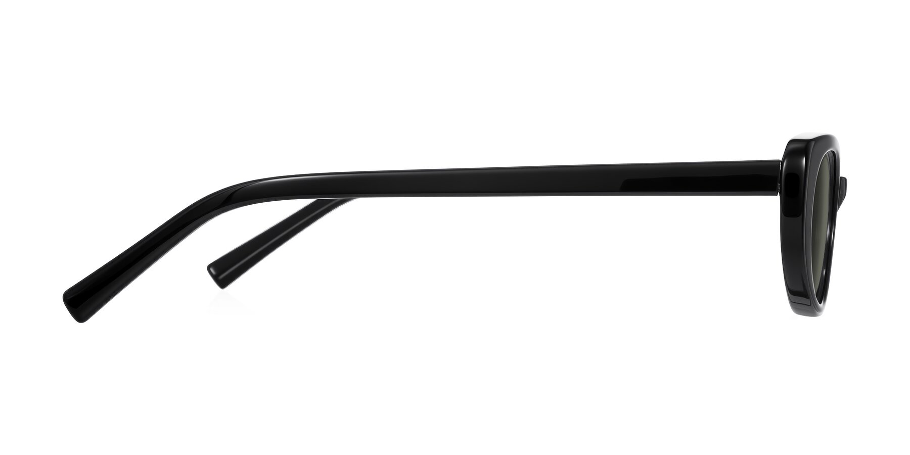 Side of Buffalo in Black with Gray Polarized Lenses