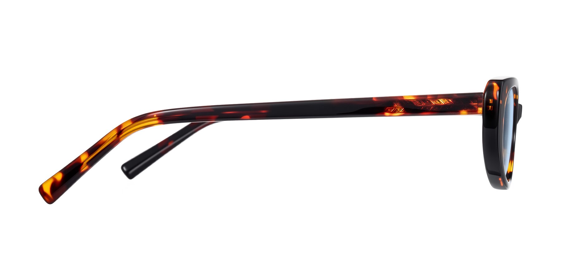 Side of Buffalo in Tortoise with Light Blue Tinted Lenses