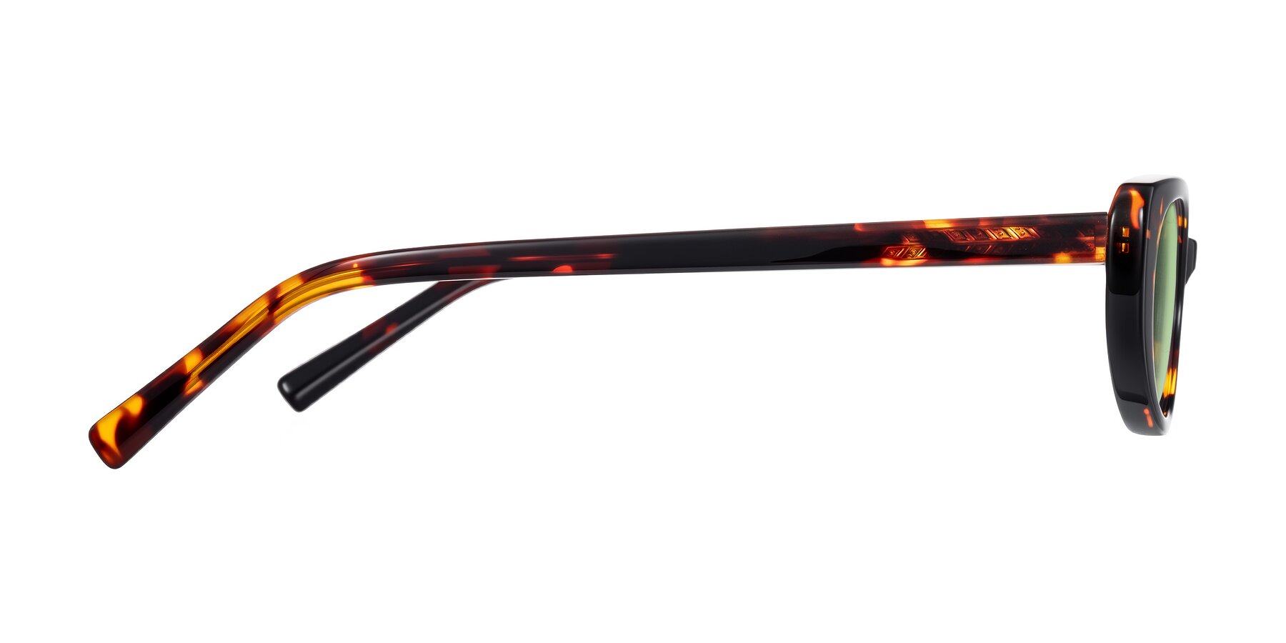 Side of Buffalo in Tortoise with Medium Green Tinted Lenses