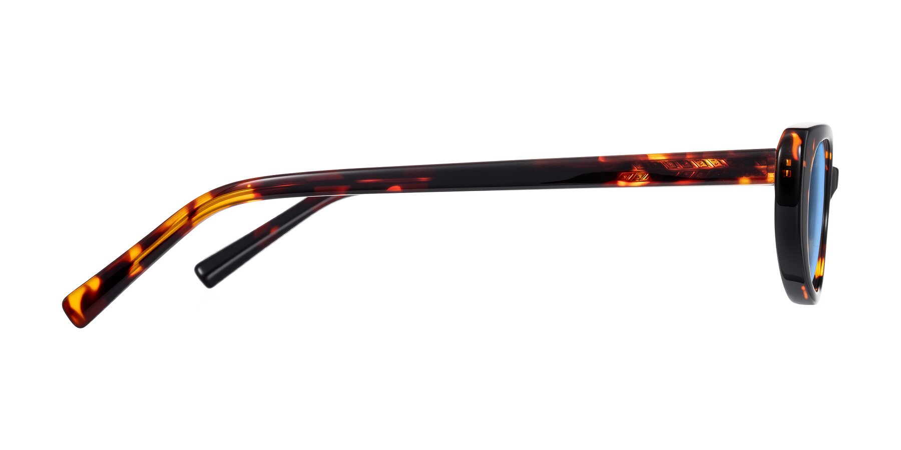 Side of Buffalo in Tortoise with Medium Blue Tinted Lenses
