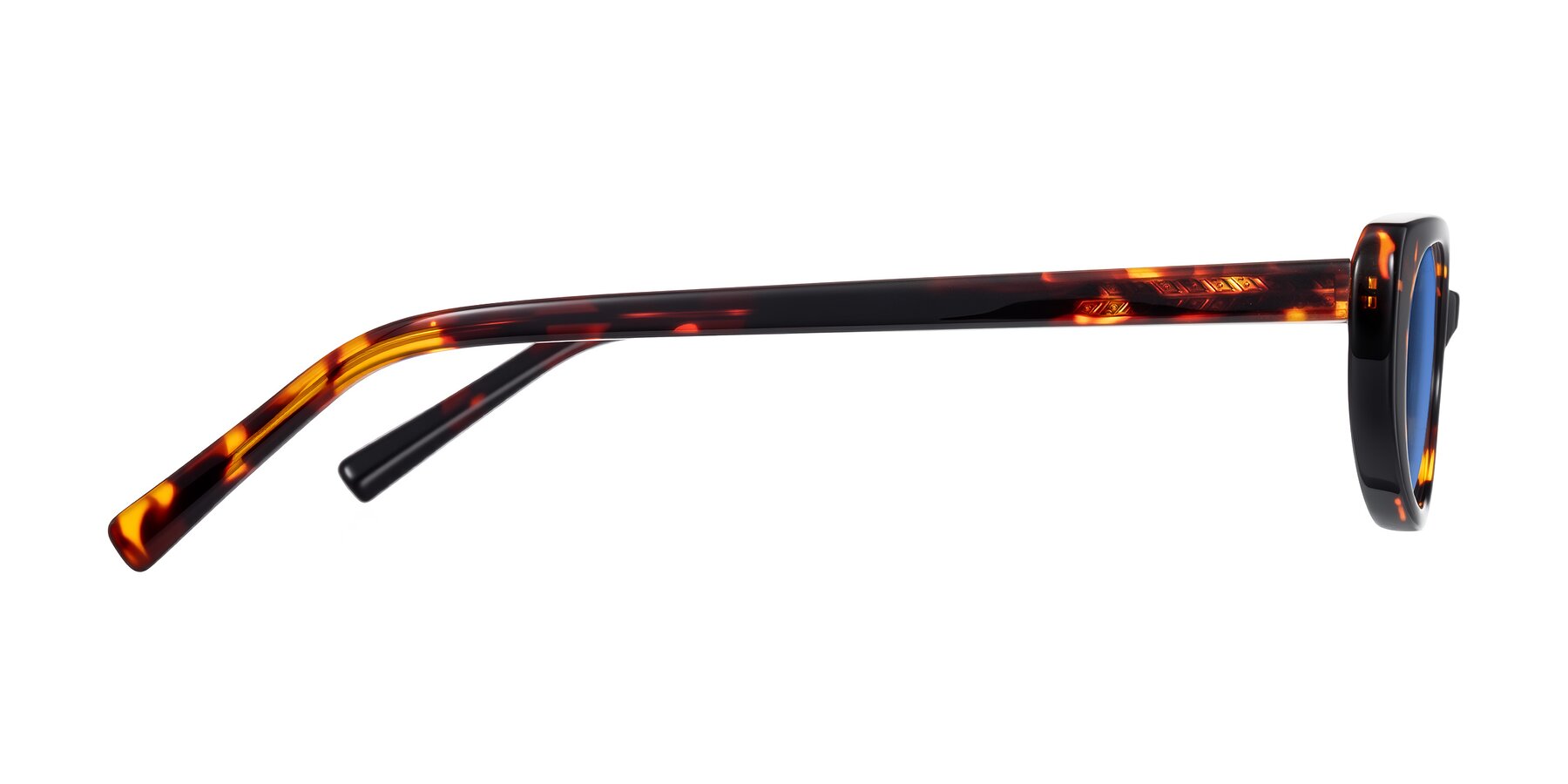 Side of Buffalo in Tortoise with Blue Tinted Lenses