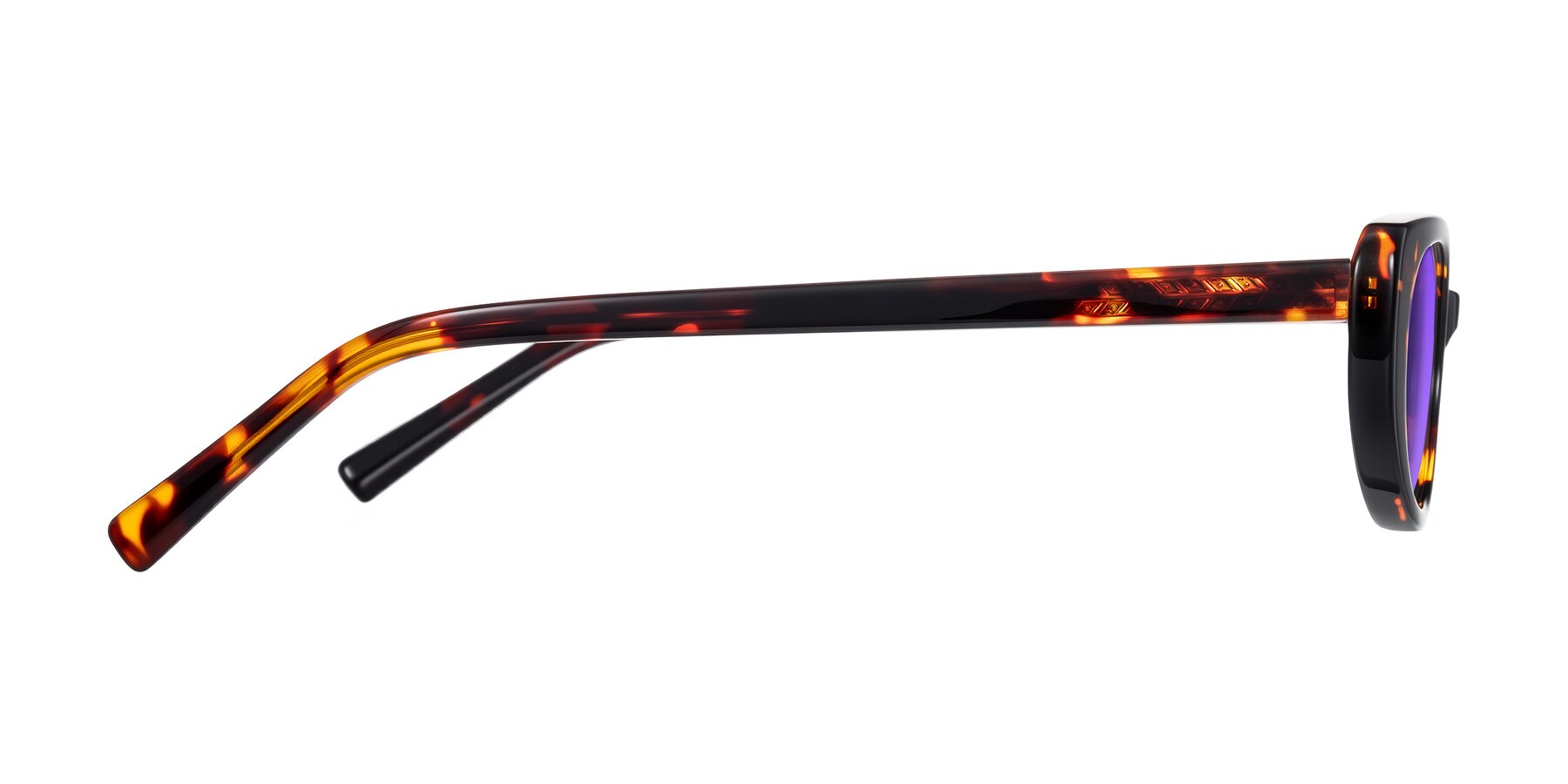 Side of Buffalo in Tortoise with Purple Tinted Lenses