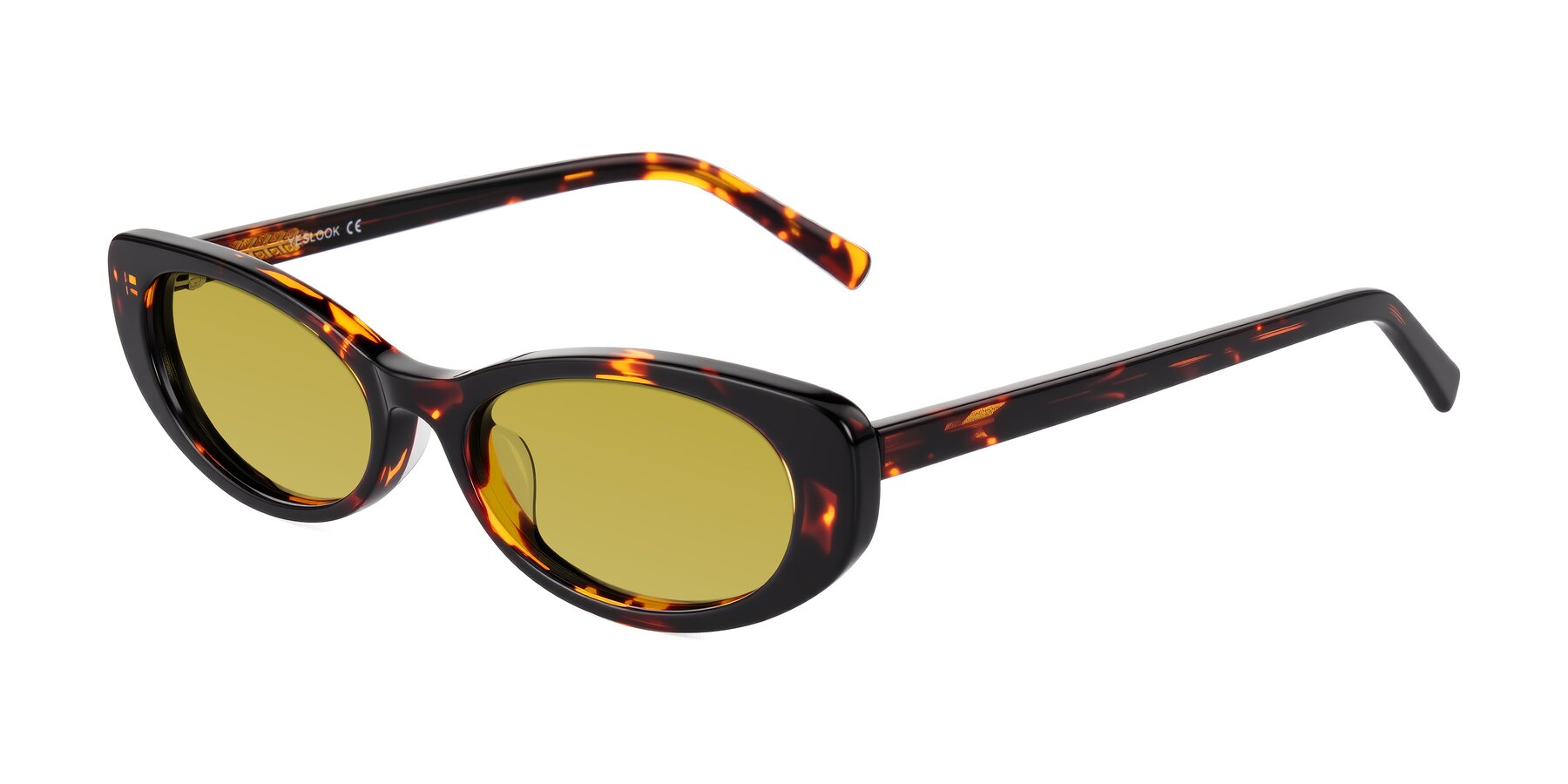 Angle of Buffalo in Tortoise with Champagne Tinted Lenses