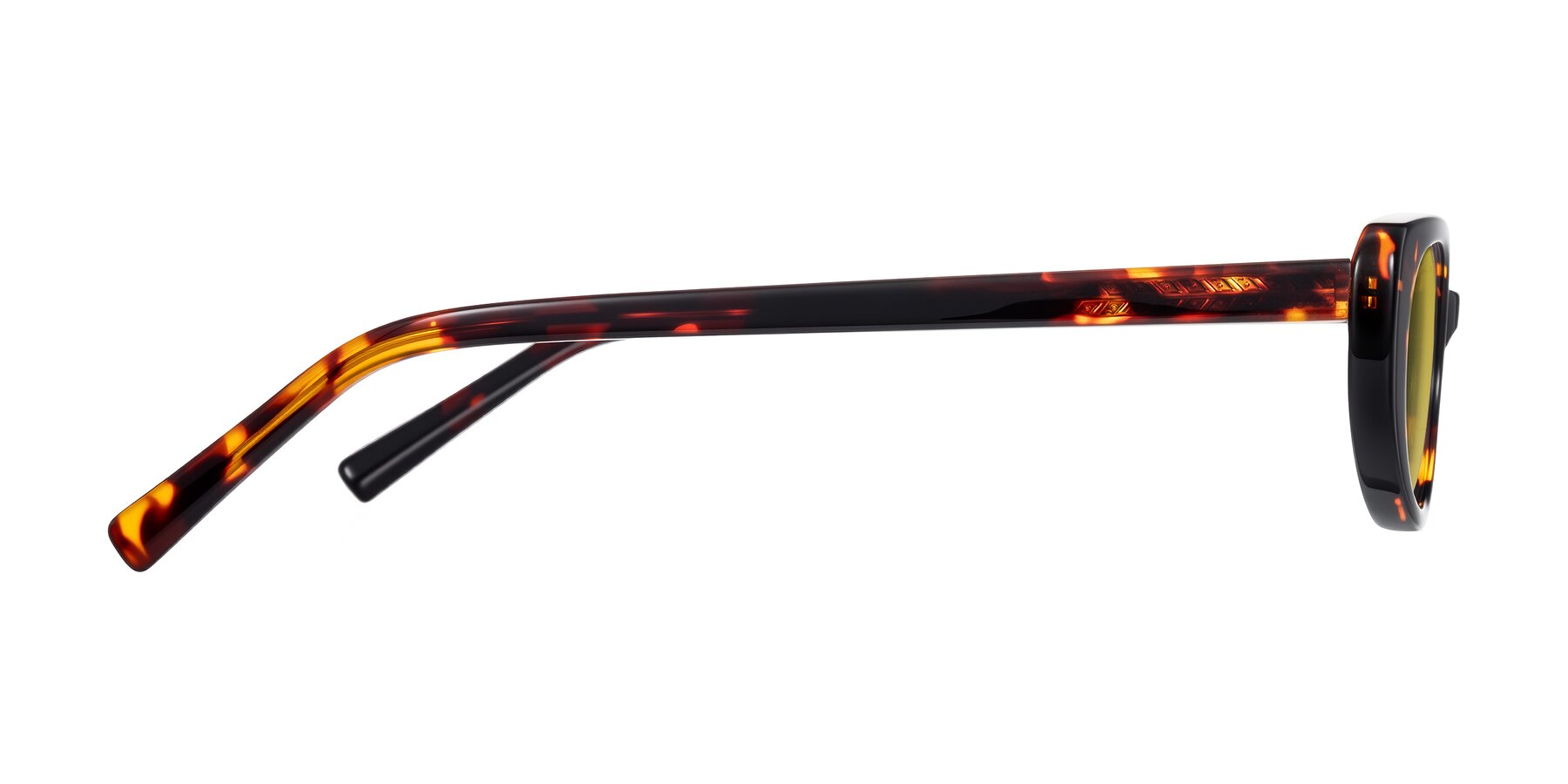 Side of Buffalo in Tortoise with Champagne Tinted Lenses