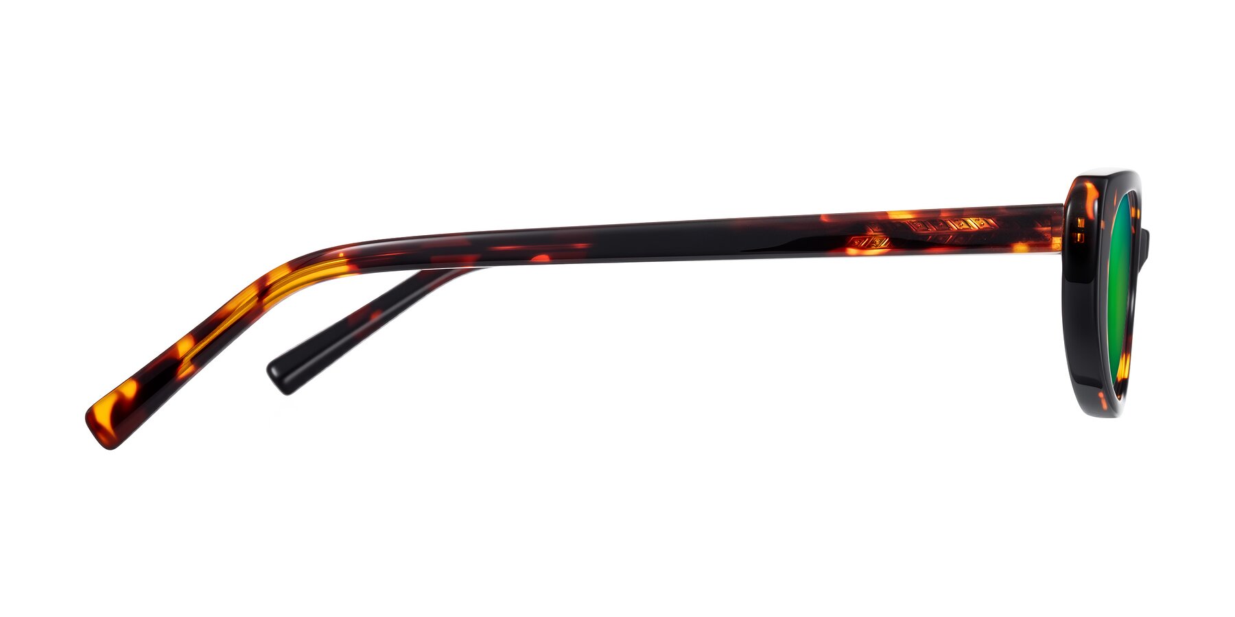 Side of Buffalo in Tortoise with Green Mirrored Lenses