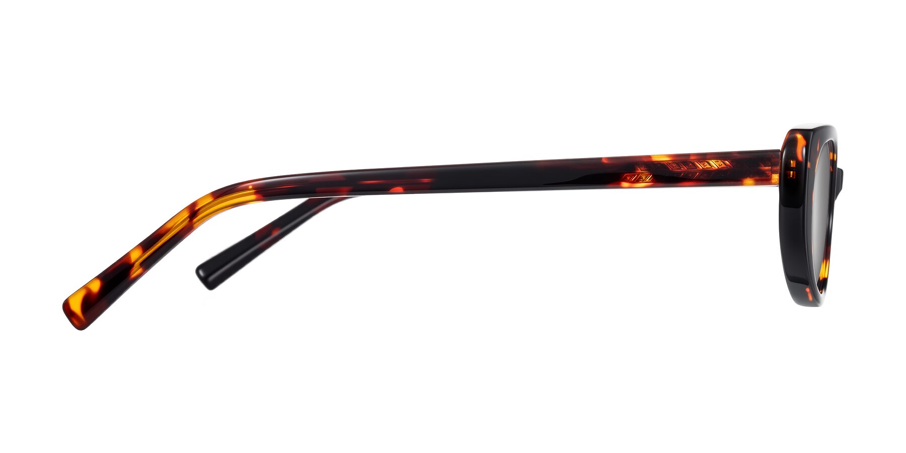 Side of Buffalo in Tortoise with Silver Mirrored Lenses