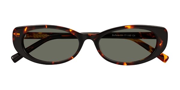 Front of Buffalo in Tortoise