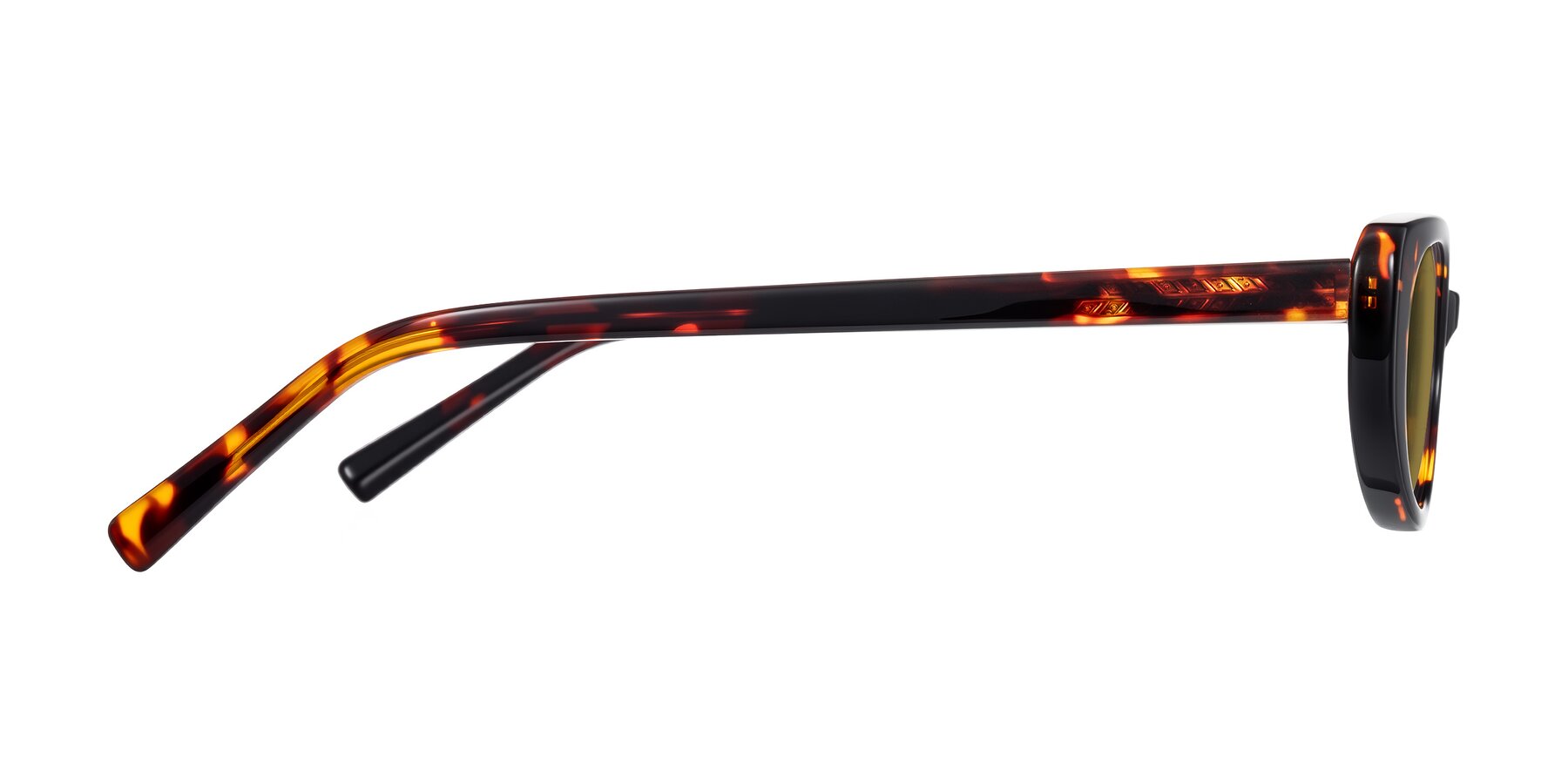 Side of Buffalo in Tortoise with Brown Polarized Lenses