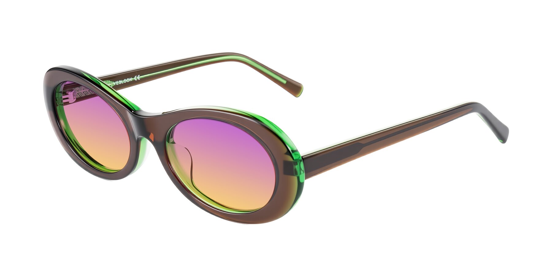 Angle of Layo in Brown/Green with Purple / Yellow Gradient Lenses