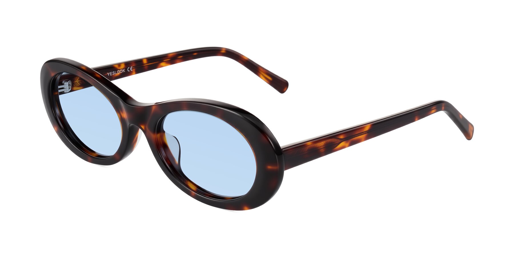 Angle of Layo in Tortoise with Light Blue Tinted Lenses