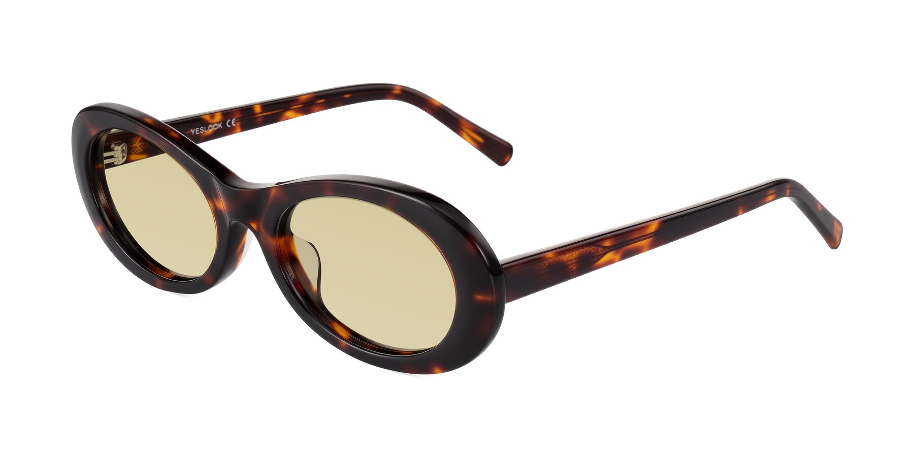 Angle of Layo in Tortoise with Light Champagne Tinted Lenses