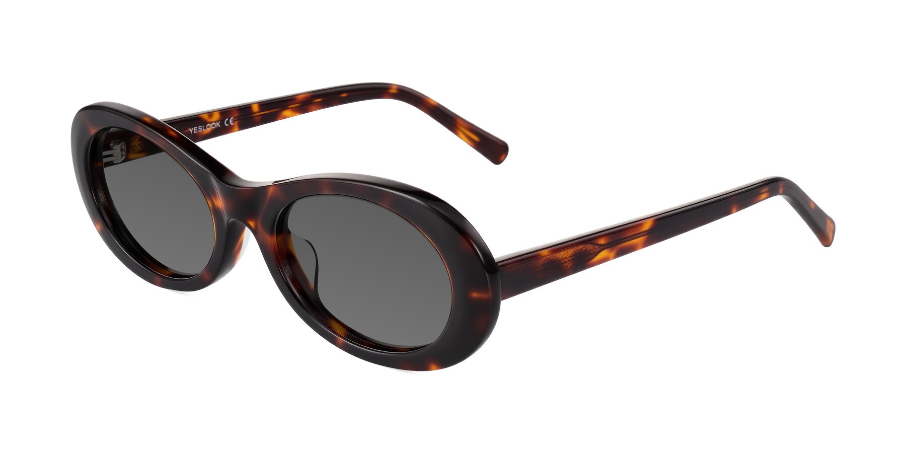 Angle of Layo in Tortoise with Medium Gray Tinted Lenses