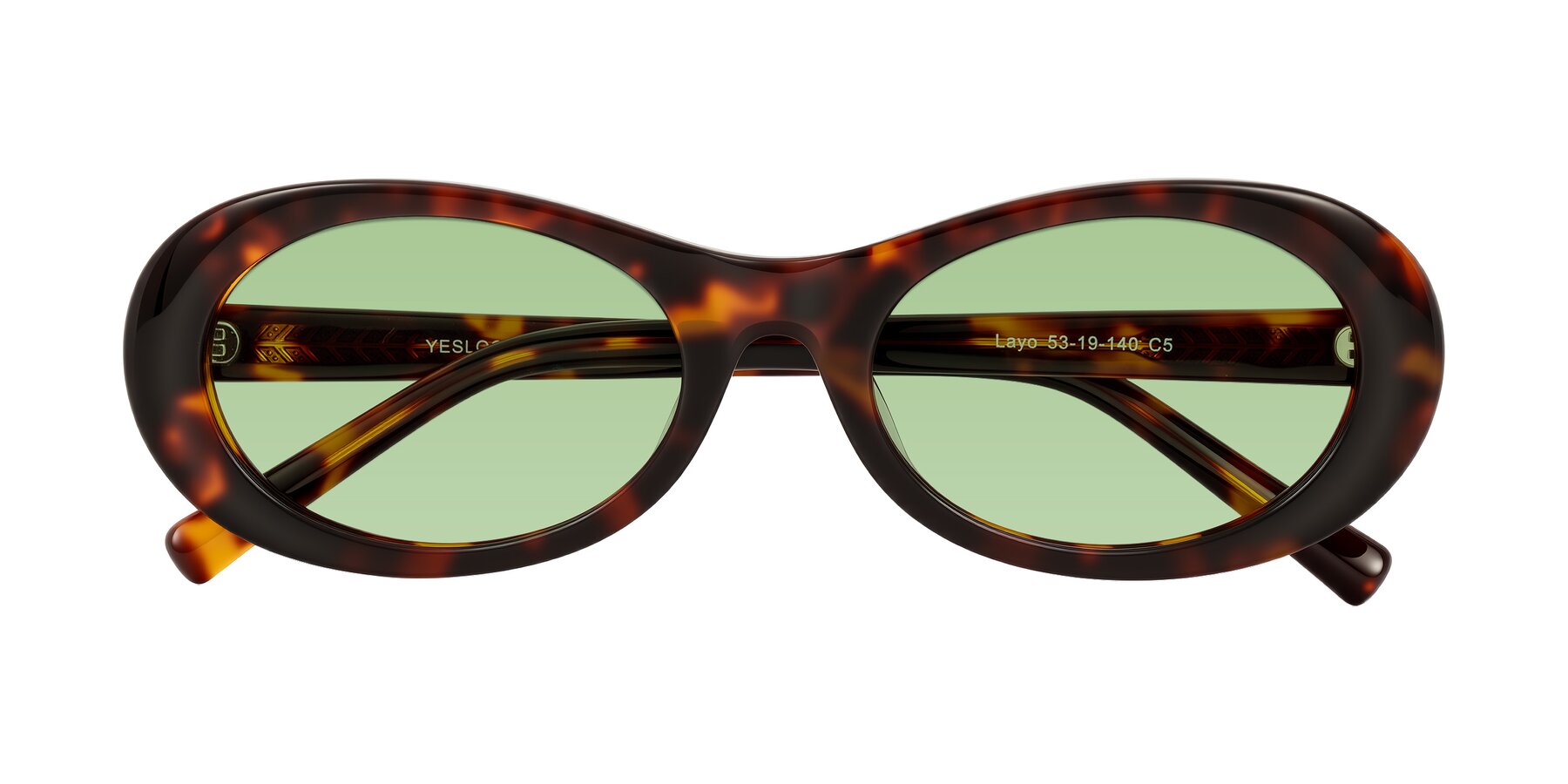 Folded Front of Layo in Tortoise with Medium Green Tinted Lenses