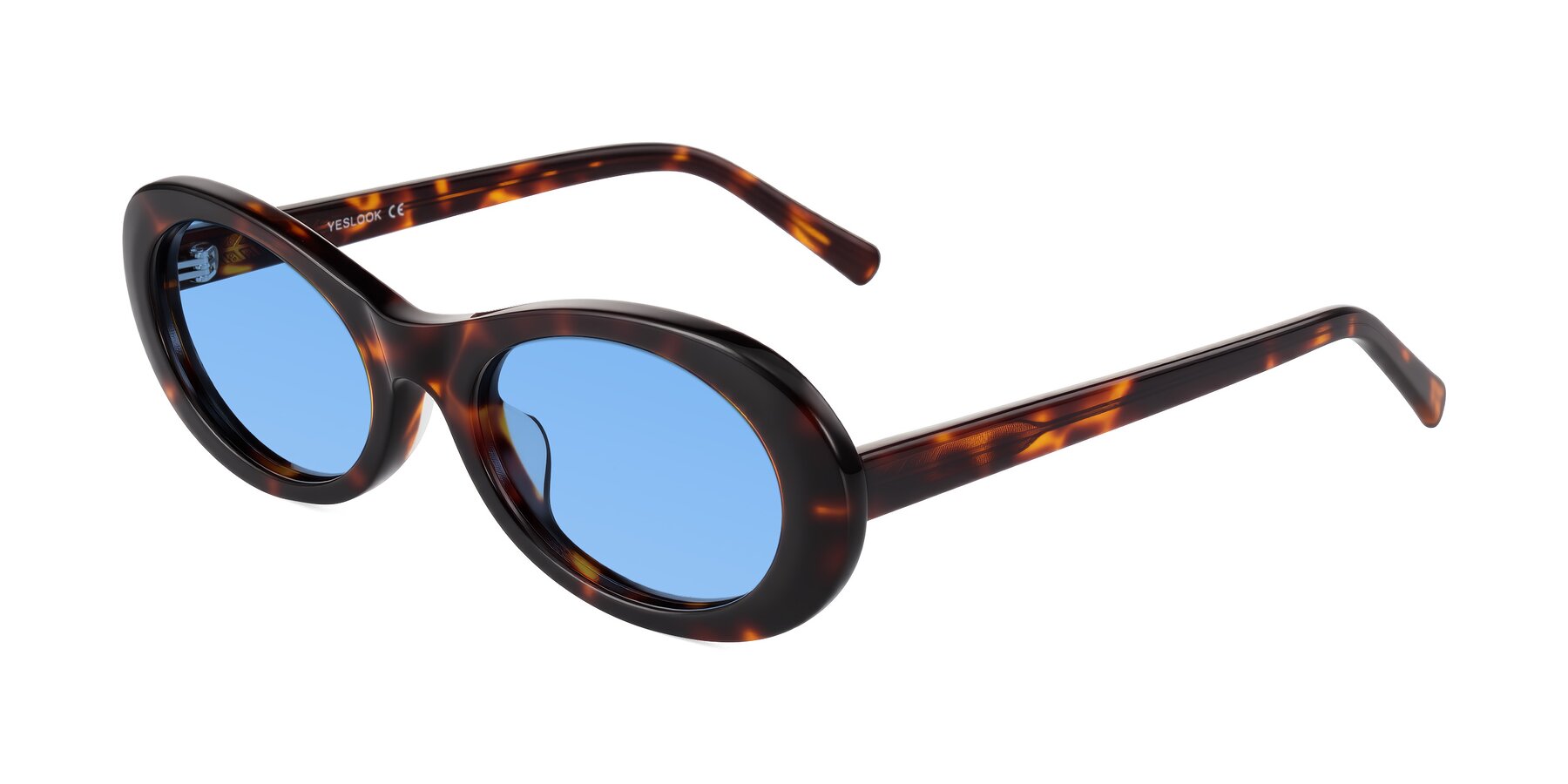Angle of Layo in Tortoise with Medium Blue Tinted Lenses