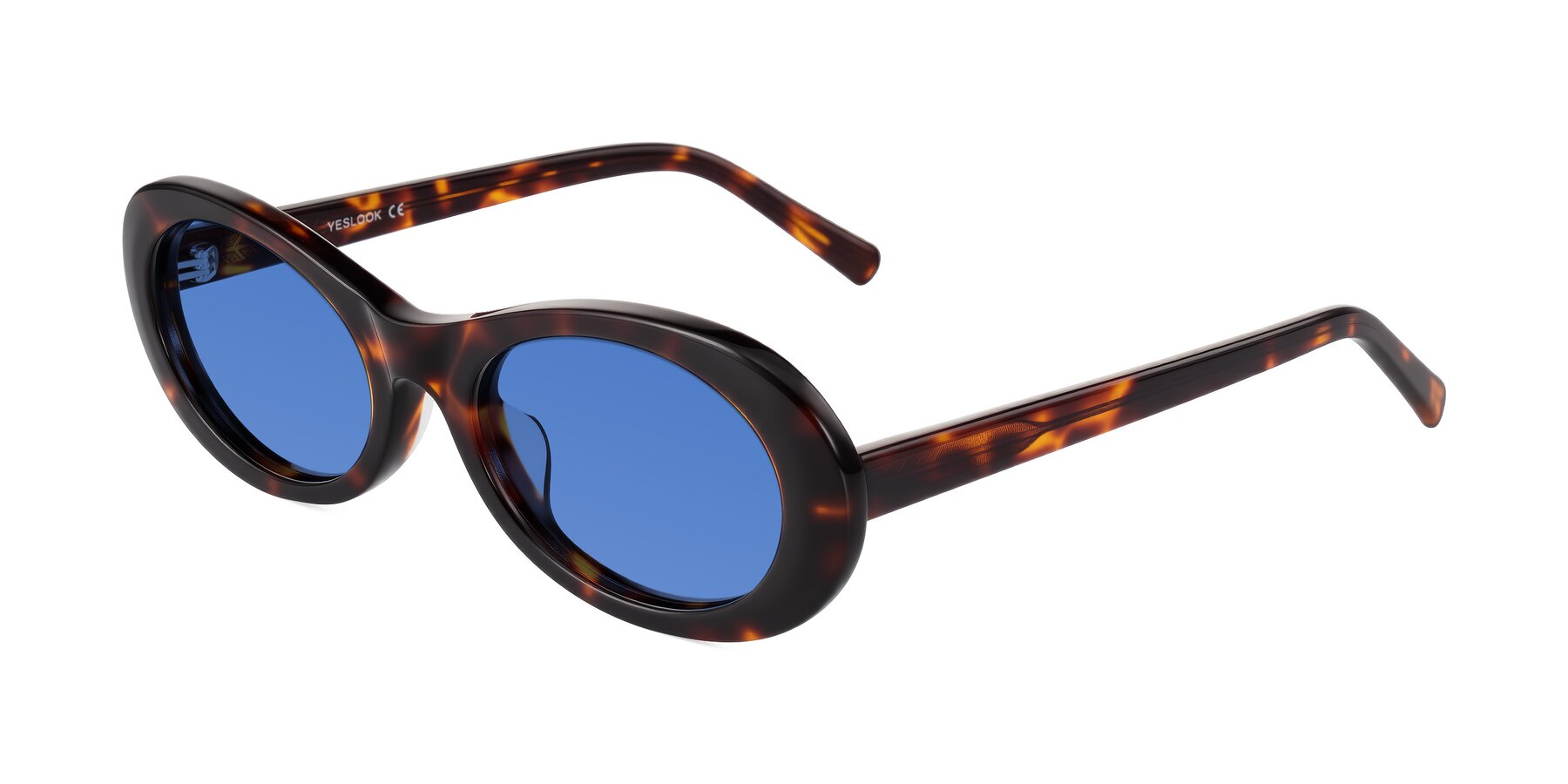 Angle of Layo in Tortoise with Blue Tinted Lenses