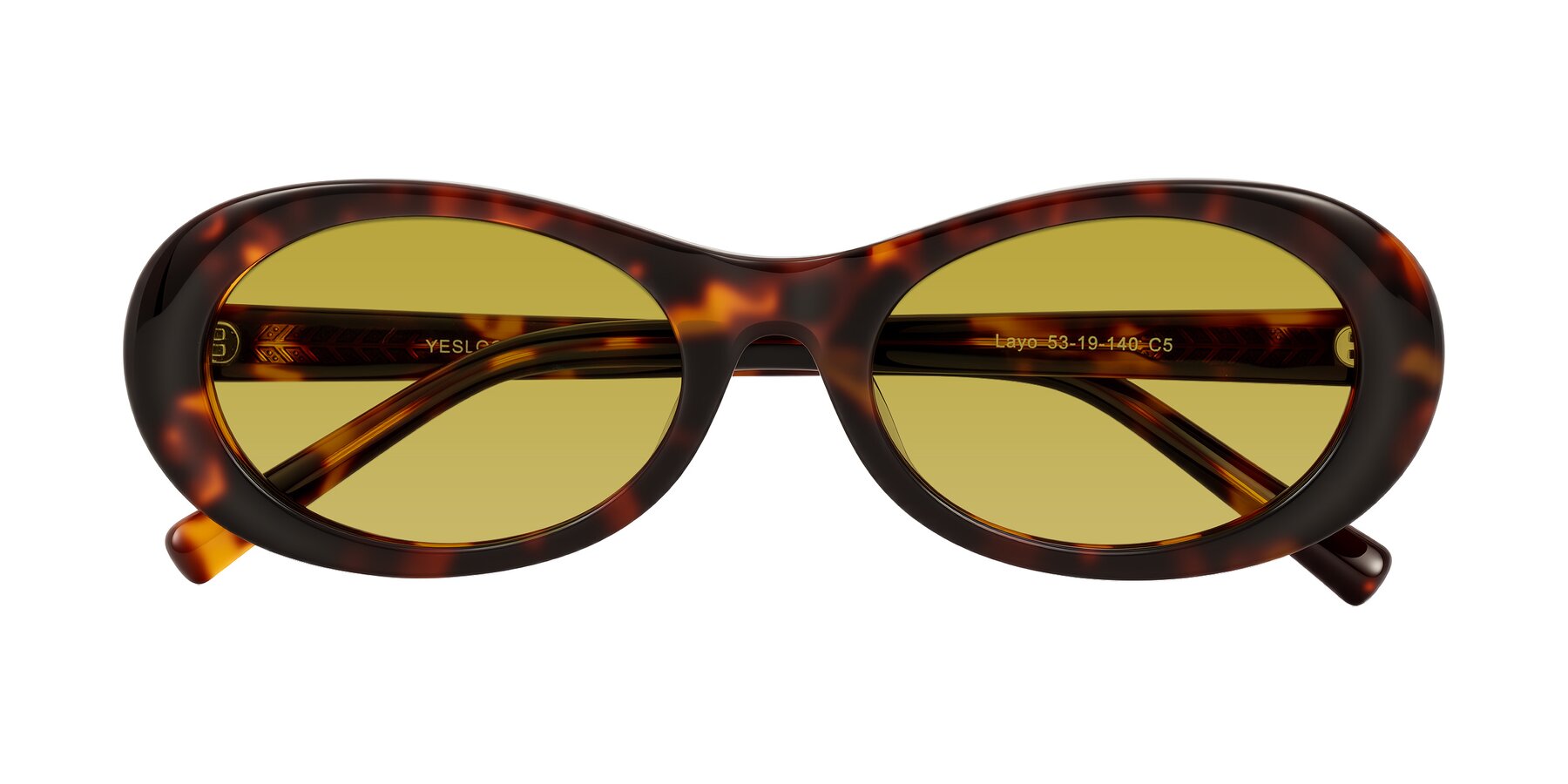 Folded Front of Layo in Tortoise with Champagne Tinted Lenses