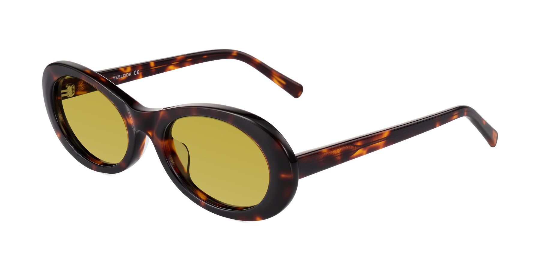Angle of Layo in Tortoise with Champagne Tinted Lenses