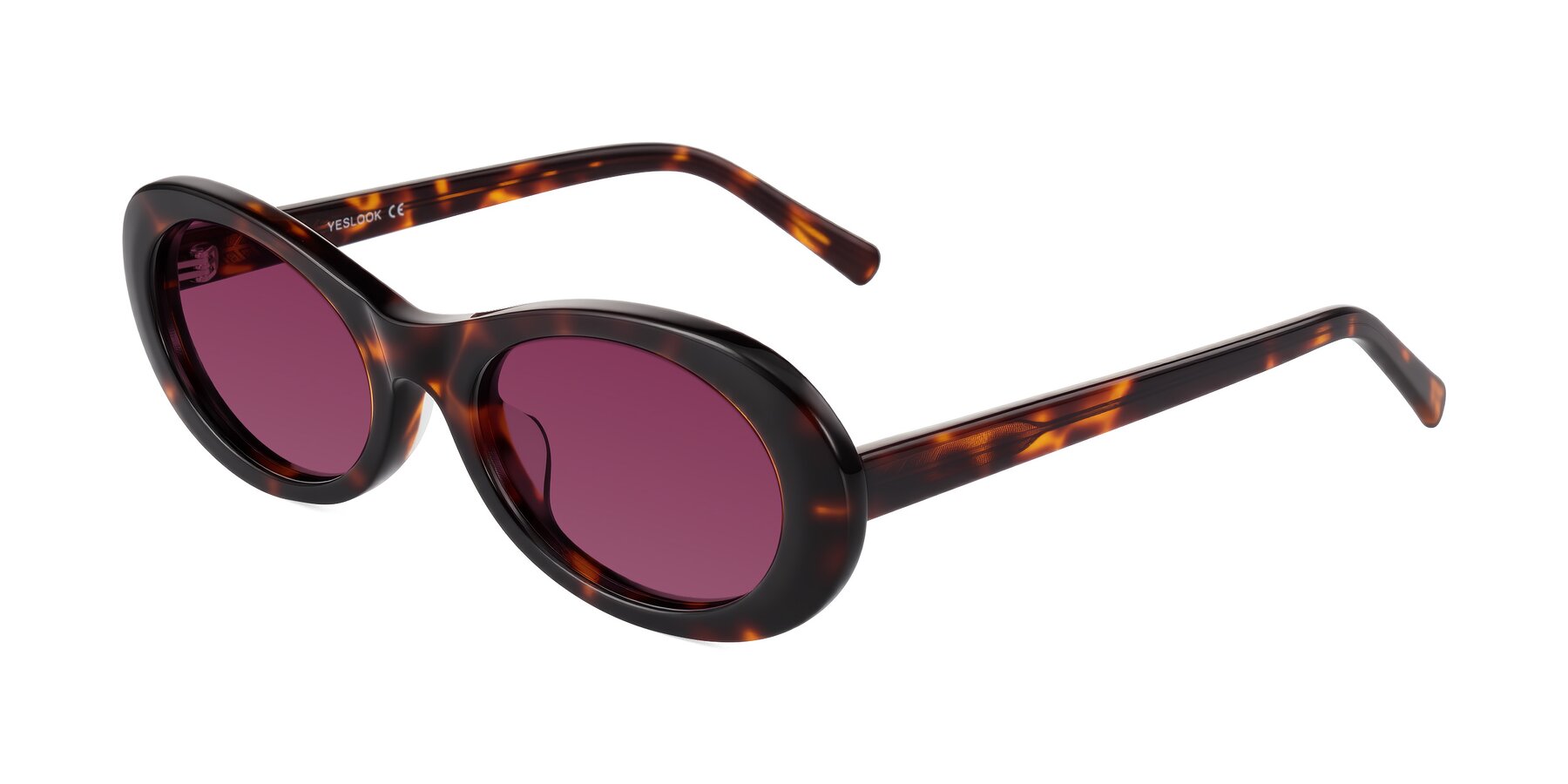 Angle of Layo in Tortoise with Wine Tinted Lenses