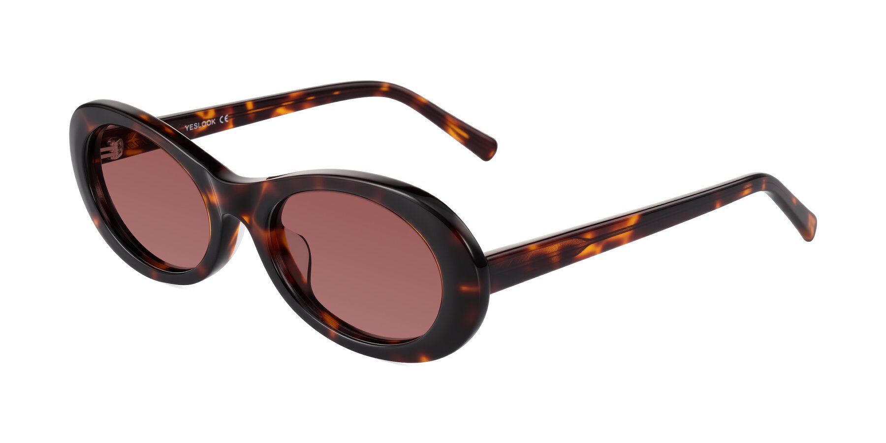 Angle of Layo in Tortoise with Garnet Tinted Lenses