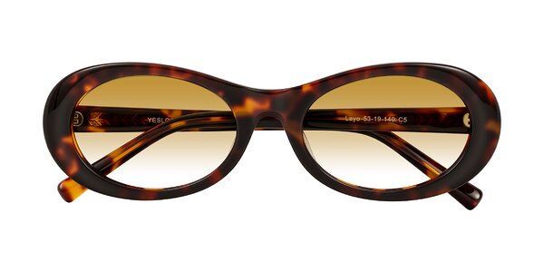 Front of Layo in Tortoise