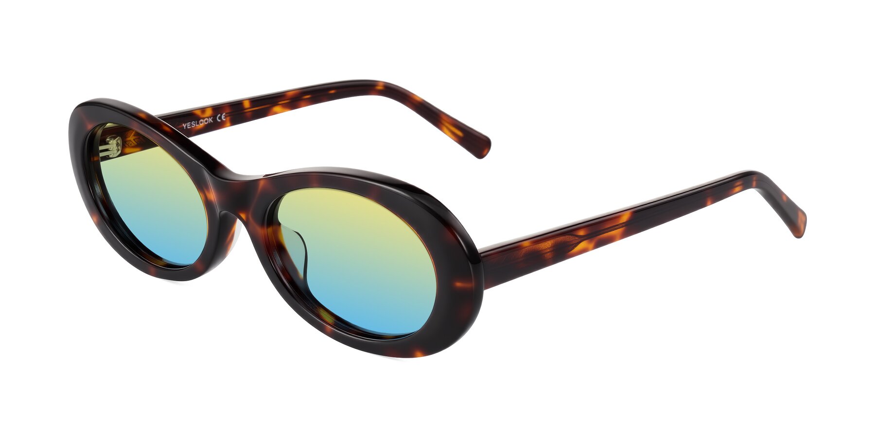 Angle of Layo in Tortoise with Yellow / Blue Gradient Lenses