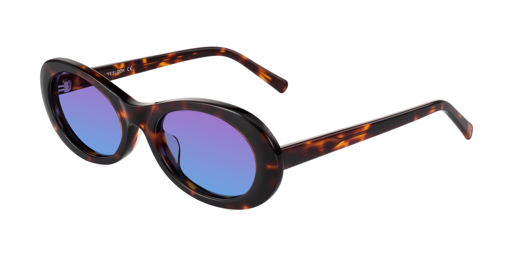 Angle of Layo in Tortoise with Purple / Blue Gradient Lenses