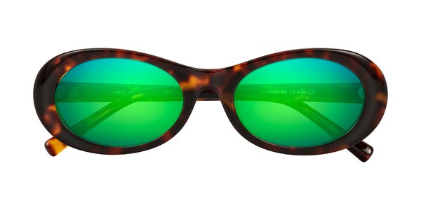 Front of Layo in Tortoise