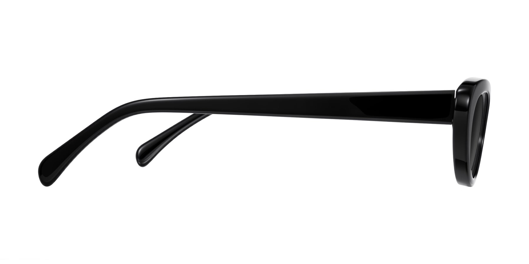 Side of Baggot in Black with Gray Tinted Lenses