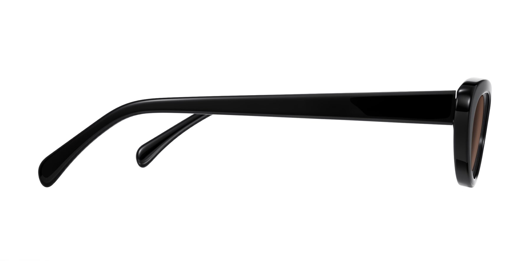 Side of Baggot in Black with Brown Tinted Lenses