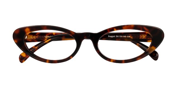 Front of Baggot in Tortoise